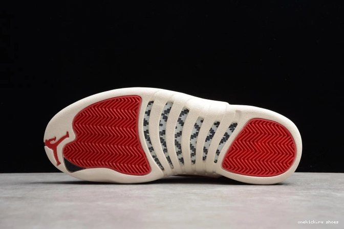 Rep 12 Jordan CI2977-006 Air 2019 Year 